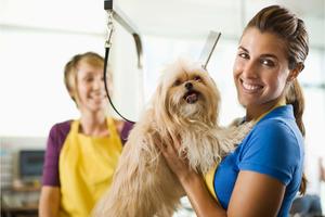 Home & Pet Services